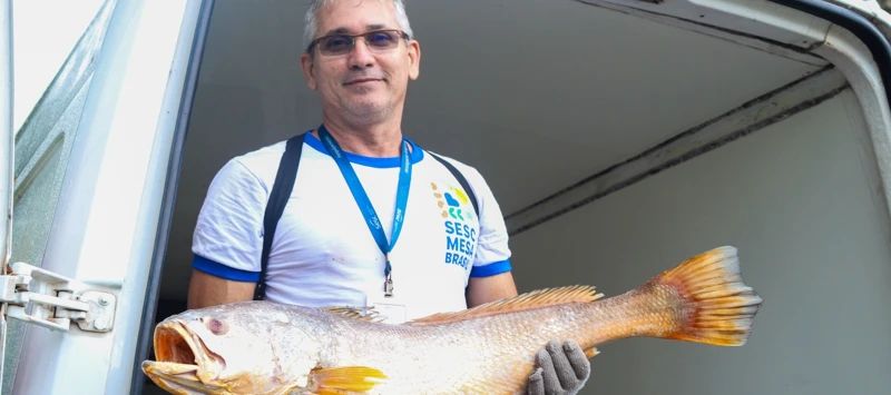 Sesc Mesa Brasil contribui para a Segurança Alimentar  
