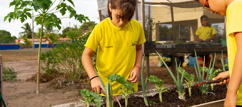 Sesc no Pará promove iniciativas sustentáveis em seus programas 